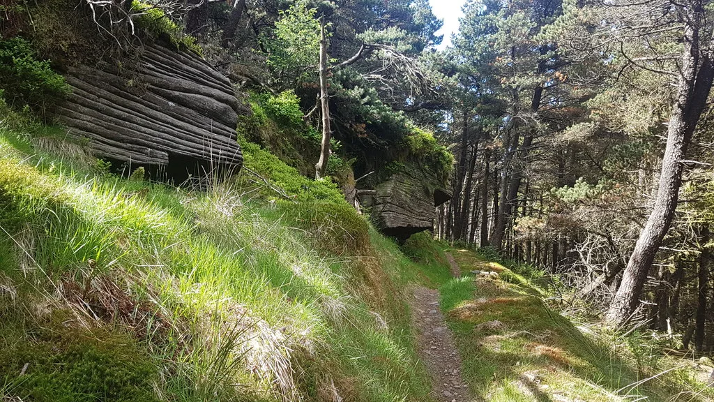Foel Chwern